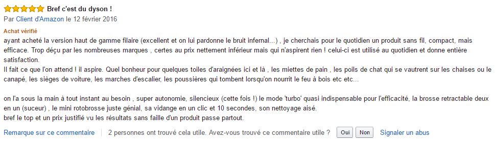 Dyson_DC43H_Animal_Pro_meilleur_commentaire_client_amazon